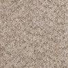 Boucle cappuccino (B3)