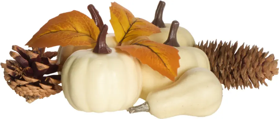Dekoracja dynie i szyszki Autumn 24