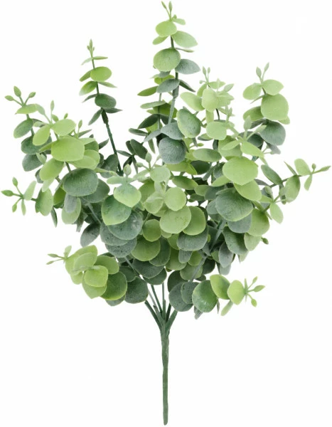 Gałązka eukaliptusa Florino 132