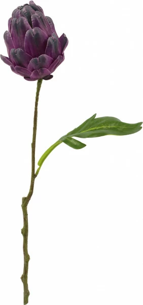 Gałązka karczoch Florino 134