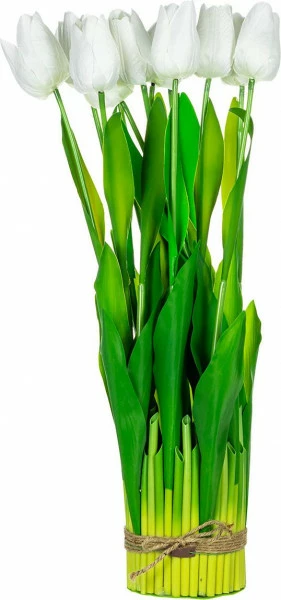 Tulipany Florino 95 (12szt)