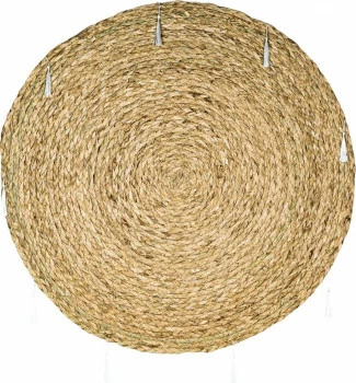 Dywan (naturalna trawa) Tasso 1