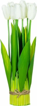 Tulipany Florino 96 (12szt.) 