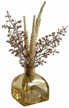 Roślina Florino 108 