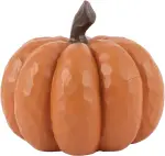 mini_image