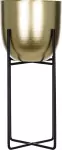 mini_image