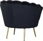 mini_image