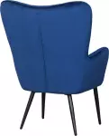 mini_image