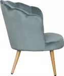 mini_image