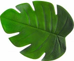 mini_image
