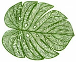 mini_image