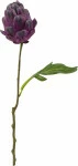 mini_image