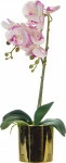 mini_image