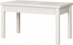 mini_image