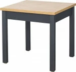 mini_image
