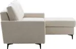 mini_image
