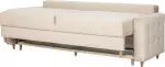 mini_image