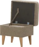 mini_image