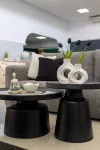 mini_image