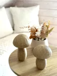 mini_image