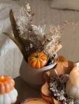 mini_image