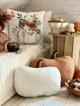 mini_image