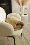 mini_image