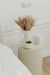 mini_image