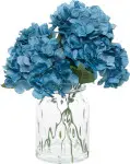 mini_image
