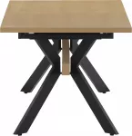 mini_image